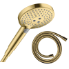 Pommeau de douche HANSGROHE Raindance Select S EcoSmart 120 3 jets aspect doré poli + flexible de douche 1