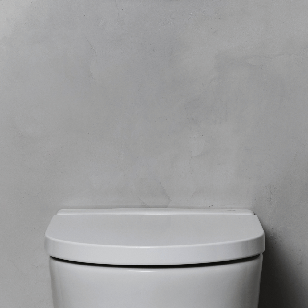 Zoom sur l'abattant WC frein de chute compact déclipsable rond ROCA  Inspira round blanc