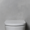 Zoom sur l'abattant WC frein de chute compact déclipsable rond ROCA  Inspira round blanc