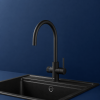 Robinet cuisine ROCA A5A8B3GNB0