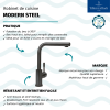 les points forts du robinet cuisine Villeroy & Boch Modern Steel 96680105