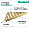 Tablette d'angle HANSGROHE AddStoris | Batinea