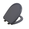 Abattant thermodur frein de chute et déclipsable BEMIS Click & Clean Classic gris