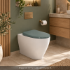 Abattant thermodur frein de chute et déclipsable BEMIS Click & Clean Classic vert ambiance