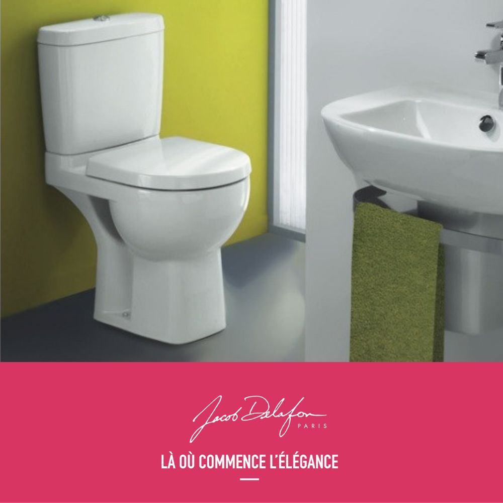 WC à poser Jacob Delafon Odeon up + abattant ambiance