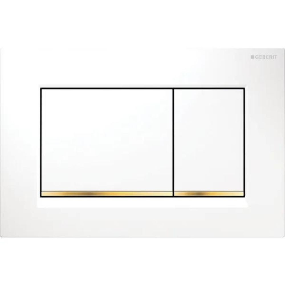 Plaque de commande WC GEBERIT Sigma30 double touche