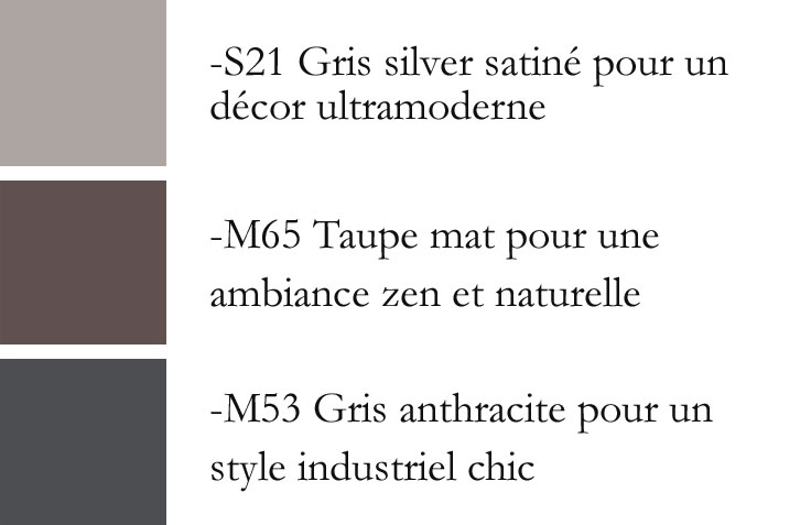 receveur flight safe couleur