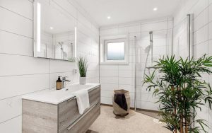plantes de salle de bain Batinea