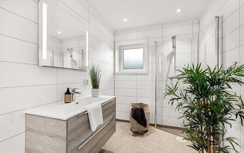 plantes de salle de bain Batinea